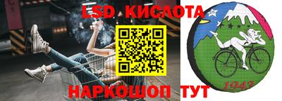 гидра Малоярославец