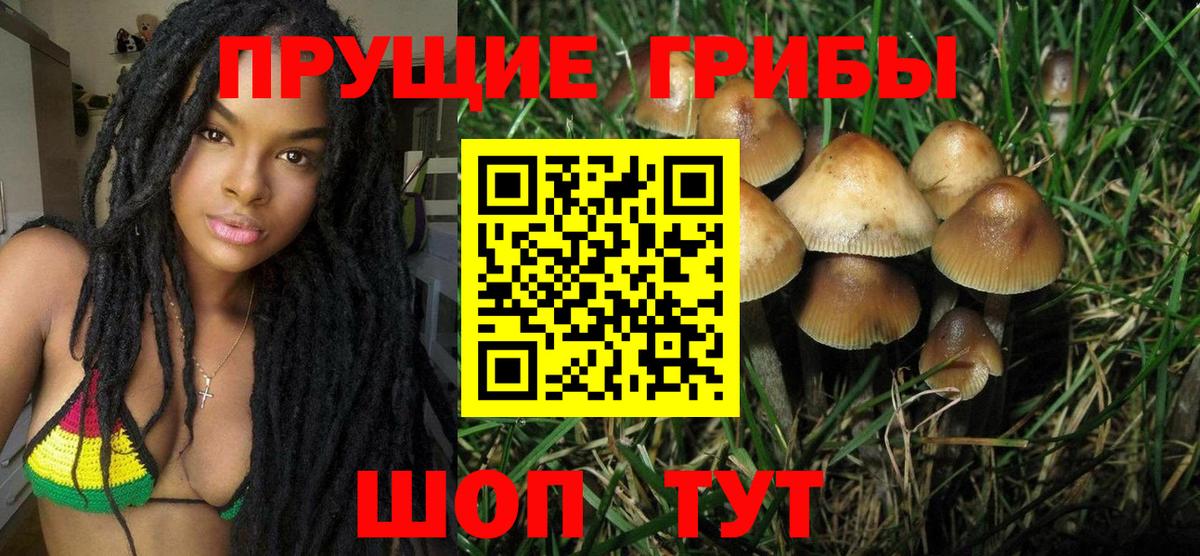 Ставрополь  Псилоцибиновые грибы Cubensis  Вход с VPN 